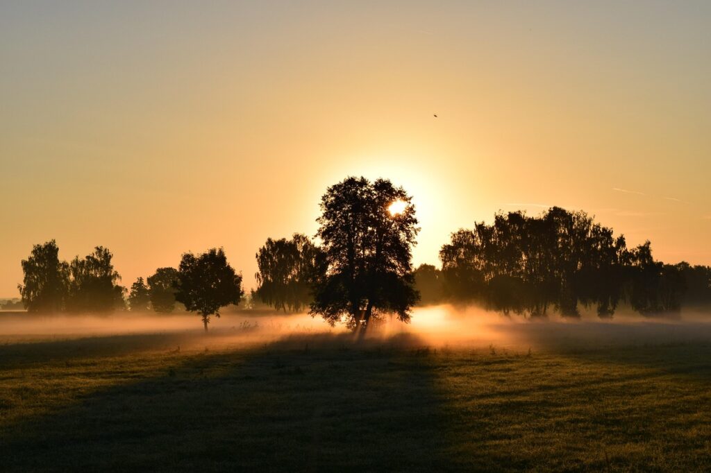 field