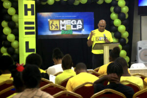 mega help 2025